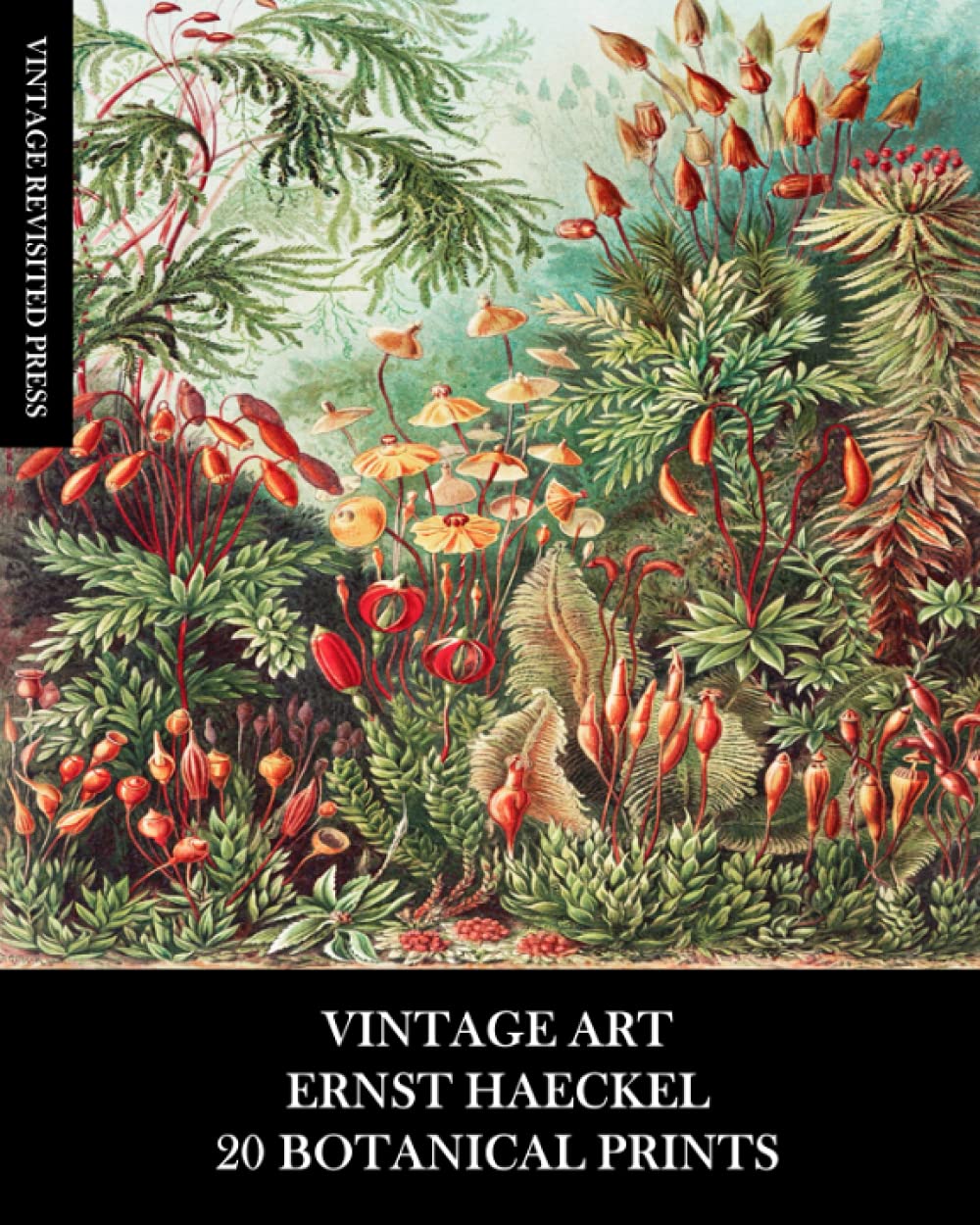 Vintage Art: Ernst Haeckel: 20 Botanical Prints: Flora and Fauna Ephemera for Framing, Collage, Decoupage, Mixed Media and Junk Journals      Paperback – October 3, 2021