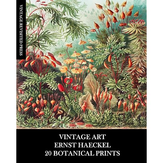 Vintage Art: Ernst Haeckel: 20 Botanical Prints: Flora and Fauna Ephemera for Framing, Collage, Decoupage, Mixed Media and Junk Journals