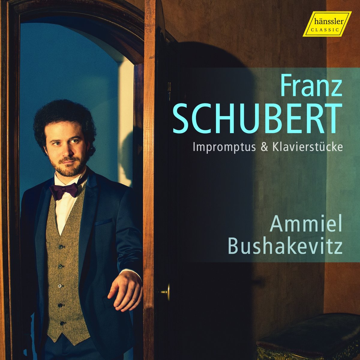 Franz Schubert: Impromptus & Klavierstücke
