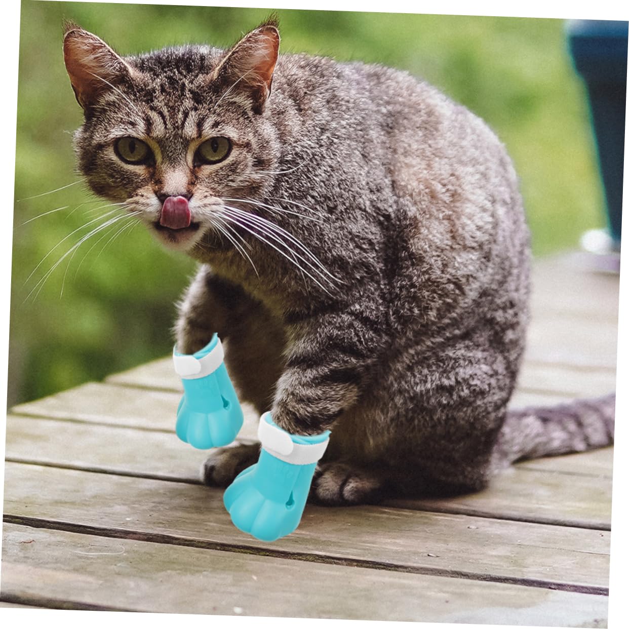 Amazon | iplusmile 4個ペット用猫脚カバー 可能なシリコン製 防水猫用