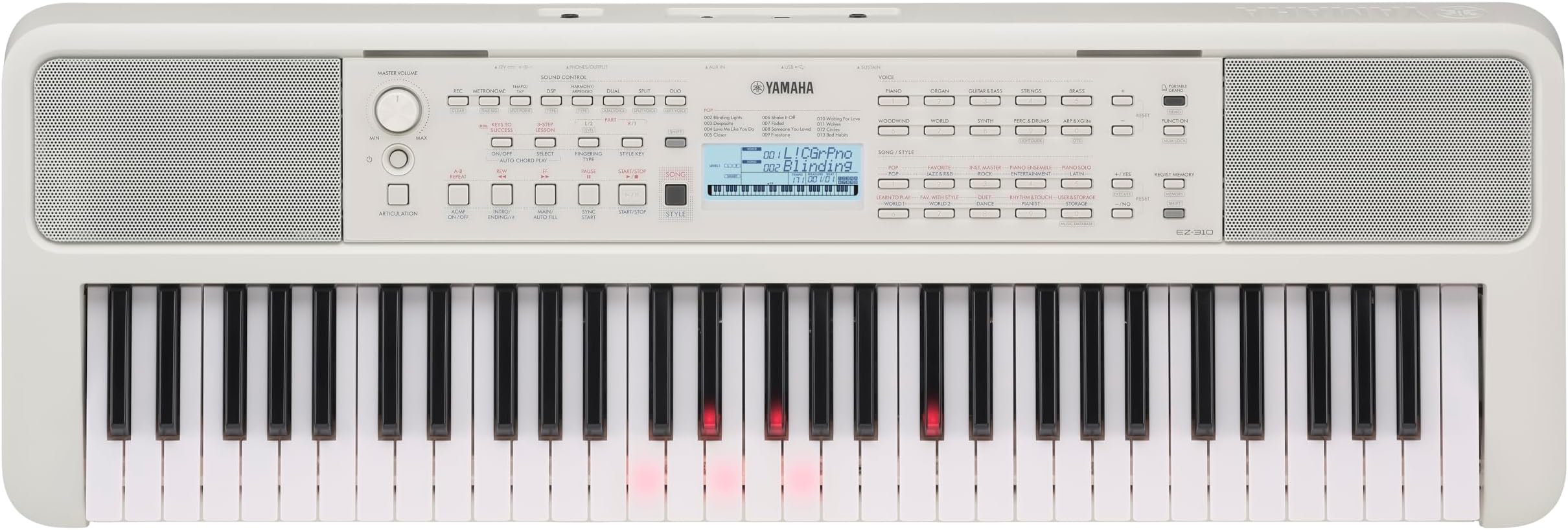 61-Key Portable Keyboard with Lighted Keys for Easy Learning, Music Rest, and Power Adapter EZ310