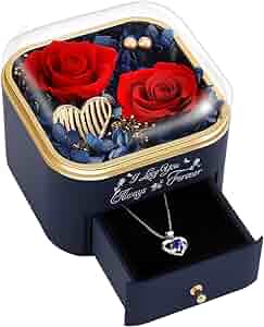 711tE9LSM9L._AC_AC_SY300_QL30_.jpg 711tE9LSM9L._AC_AC_SY300_QL30_.jpg