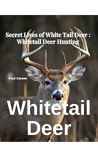 Whitetail Deer: Secret Lives of White Tail Deer : Whitetail Deer Hunting