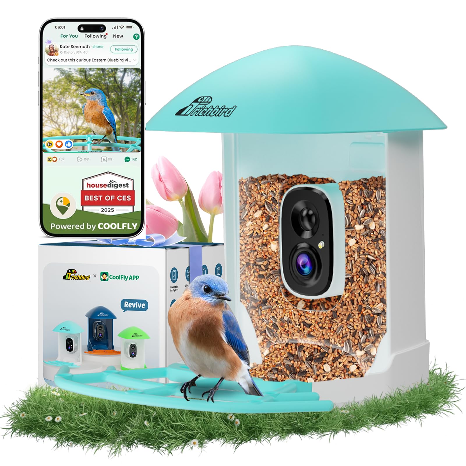 Bird Feeder with Camera, Smart Bird House with Cam for Outside, 2K HD Auto Record Video, AI Identification & Instant Alerts, Solar Powered, Bird