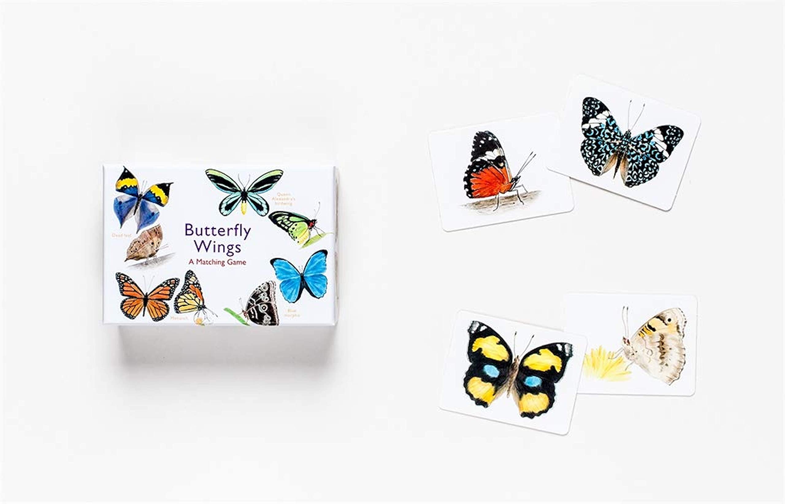 Butterfly Wings: A Matching Game - Image 11
