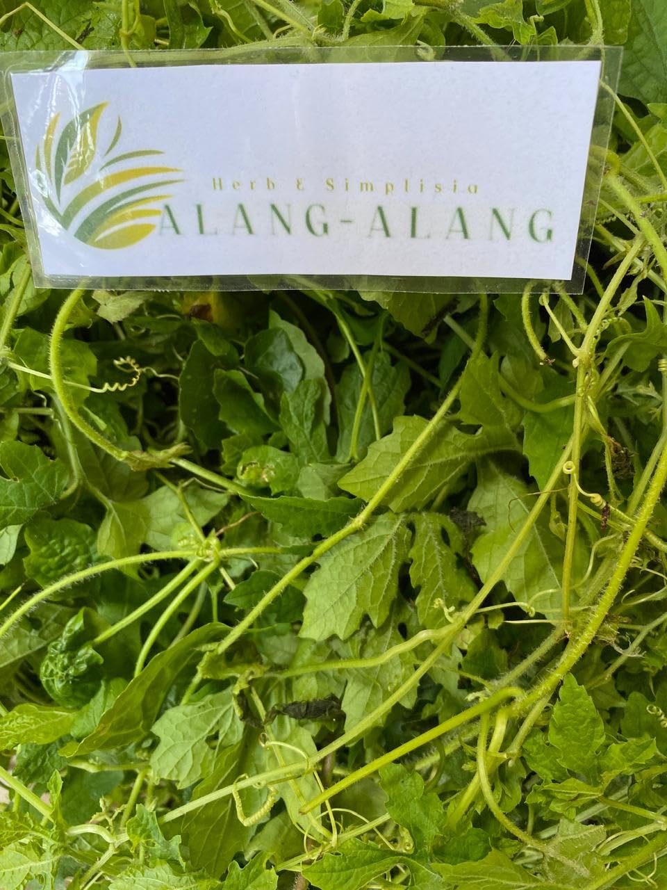 Daun Pare - Momordica charantia L. Dried Leaf (80 Gram)