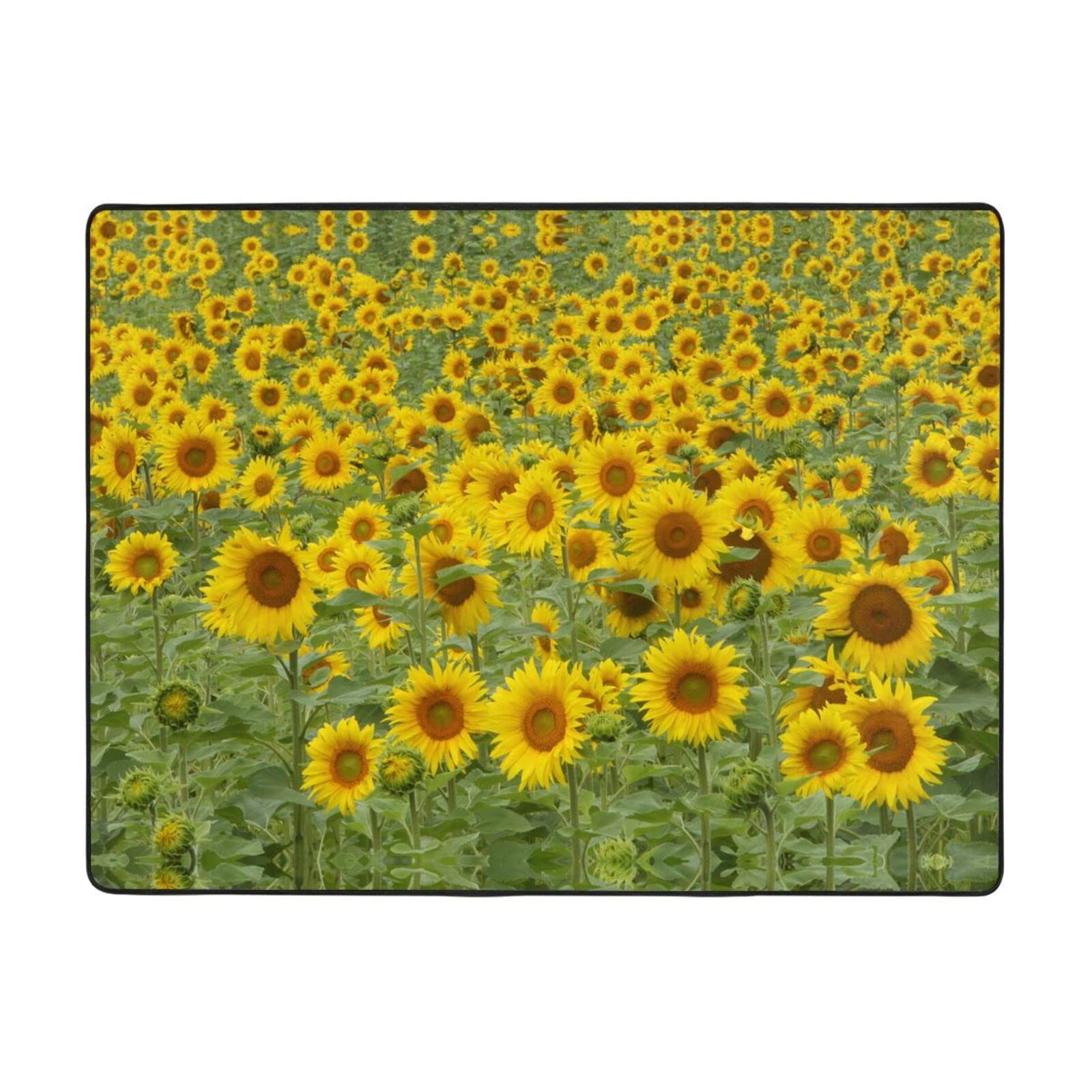 Tapis en peluche pour dortoir et salon style champêtre
