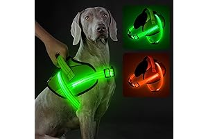 Light Up Dog Harness: Illuminate Your Nightly Walks