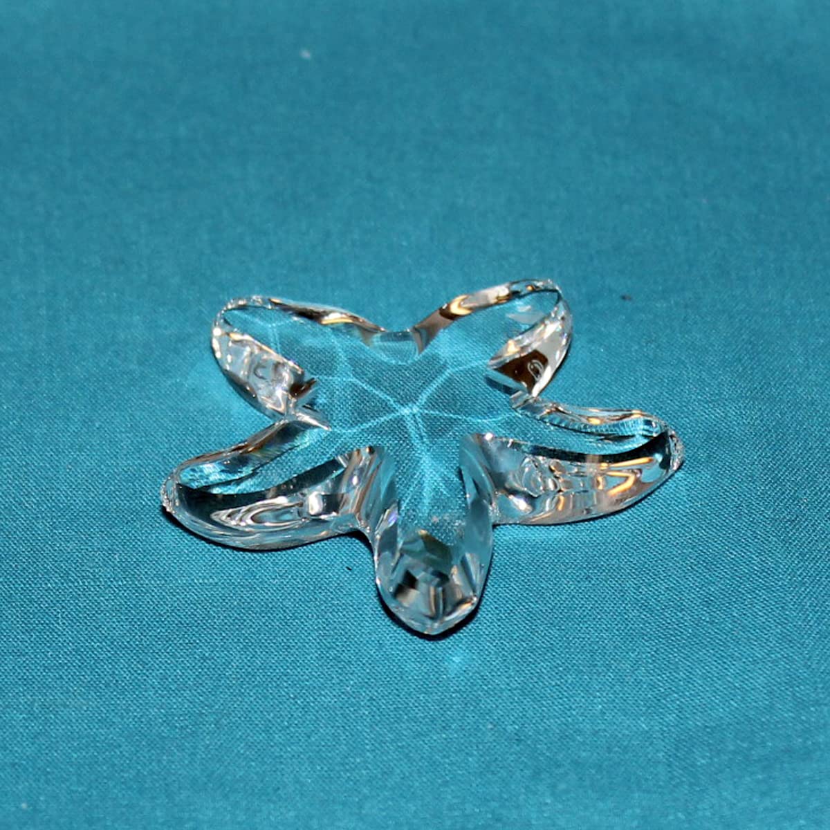 Amazon.de: Swarovski SCS Seestern Starfish Member 679350 AP 2005