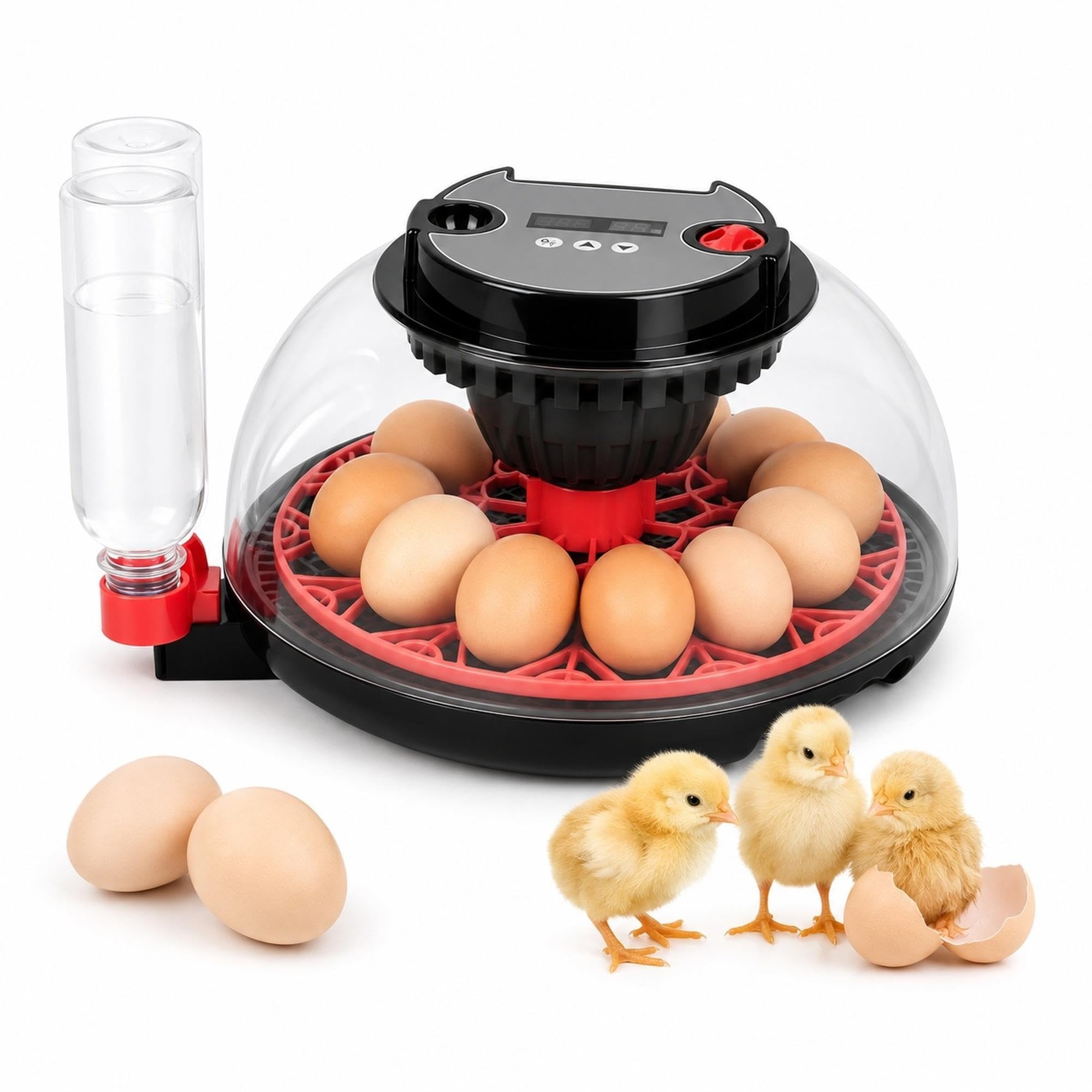 Incubatrice for 12 uova con rotazione automatica