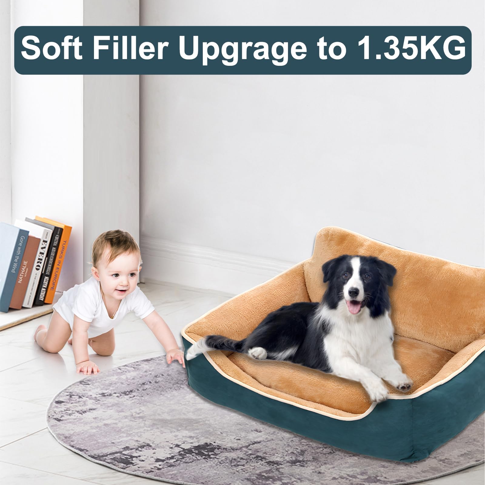 Amazon | Pet Zzz 犬のベッド、滑り止め犬ベッド、取外し可能、洗える