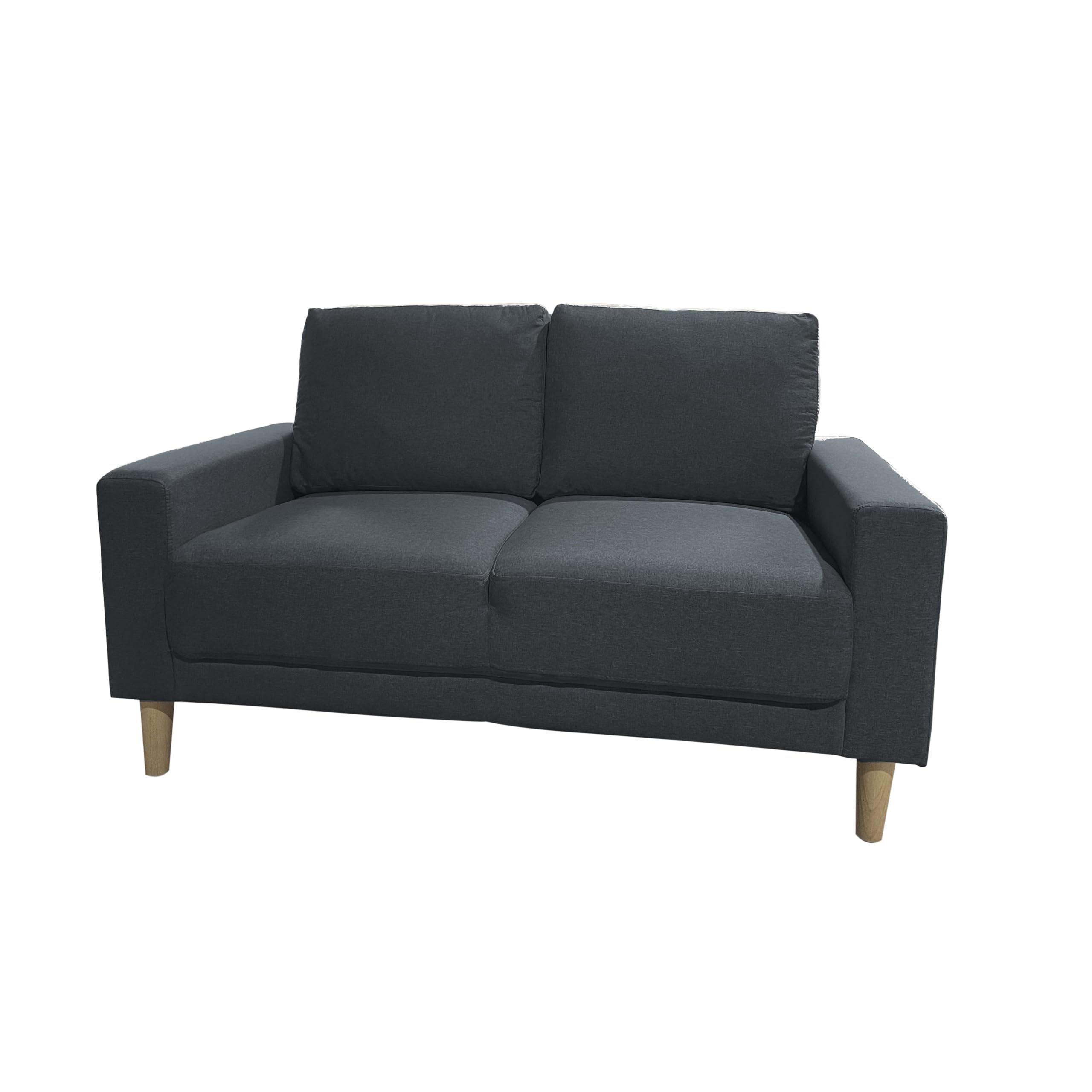 MUEBLIX.COM | Sofá Carlo de 2 Plazas | Moderno Sofá de Salón | Confortable y Tapizado en Tela | Suspensión de Muelles y Correas | Cojín del Asiento y Respaldo de Espuma