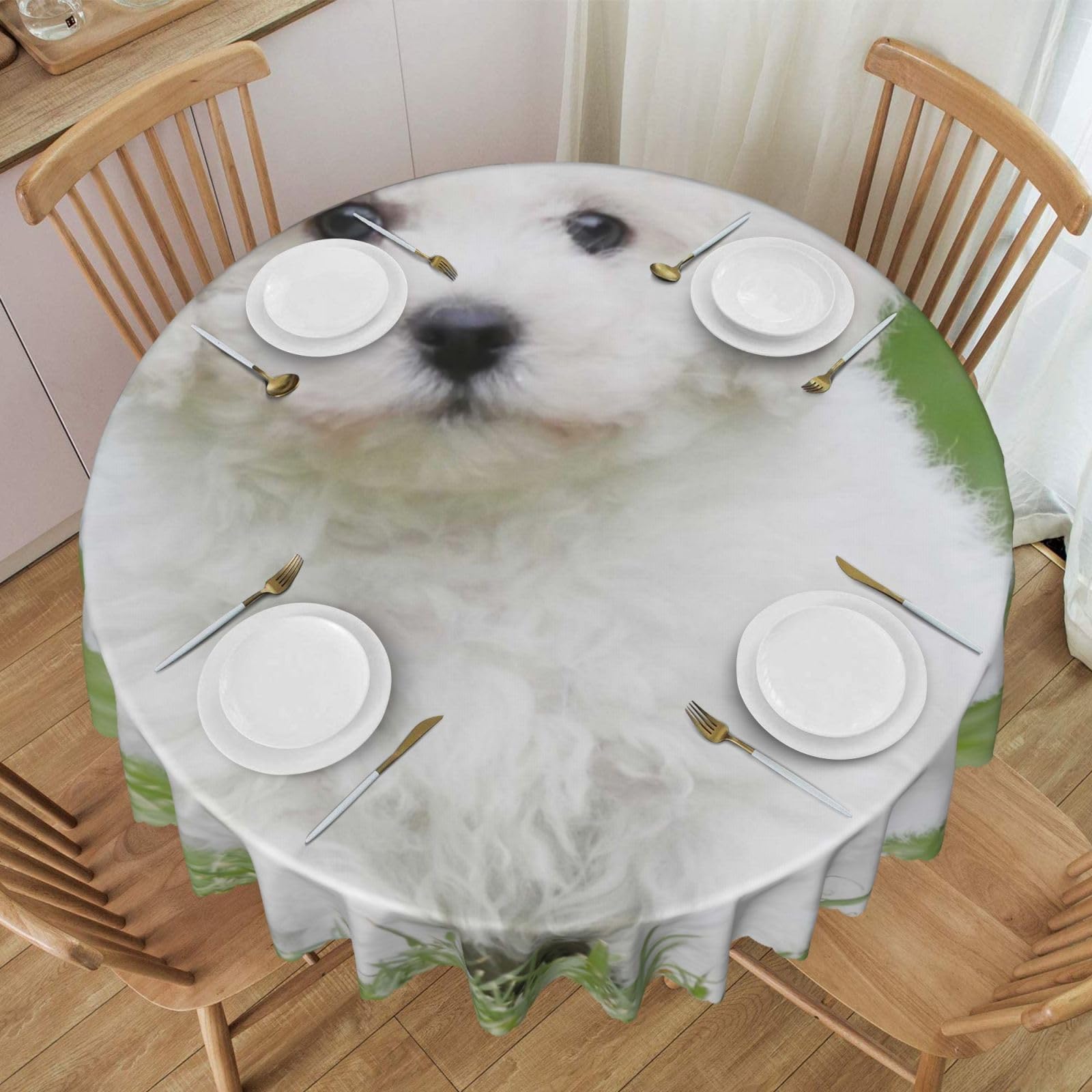 DCEHGEW 60 In Round Tablecloth with Lace, Bichon Frise Dog Printed Oilproof & Washable Fabric Picnic Table Cloth Table Covers