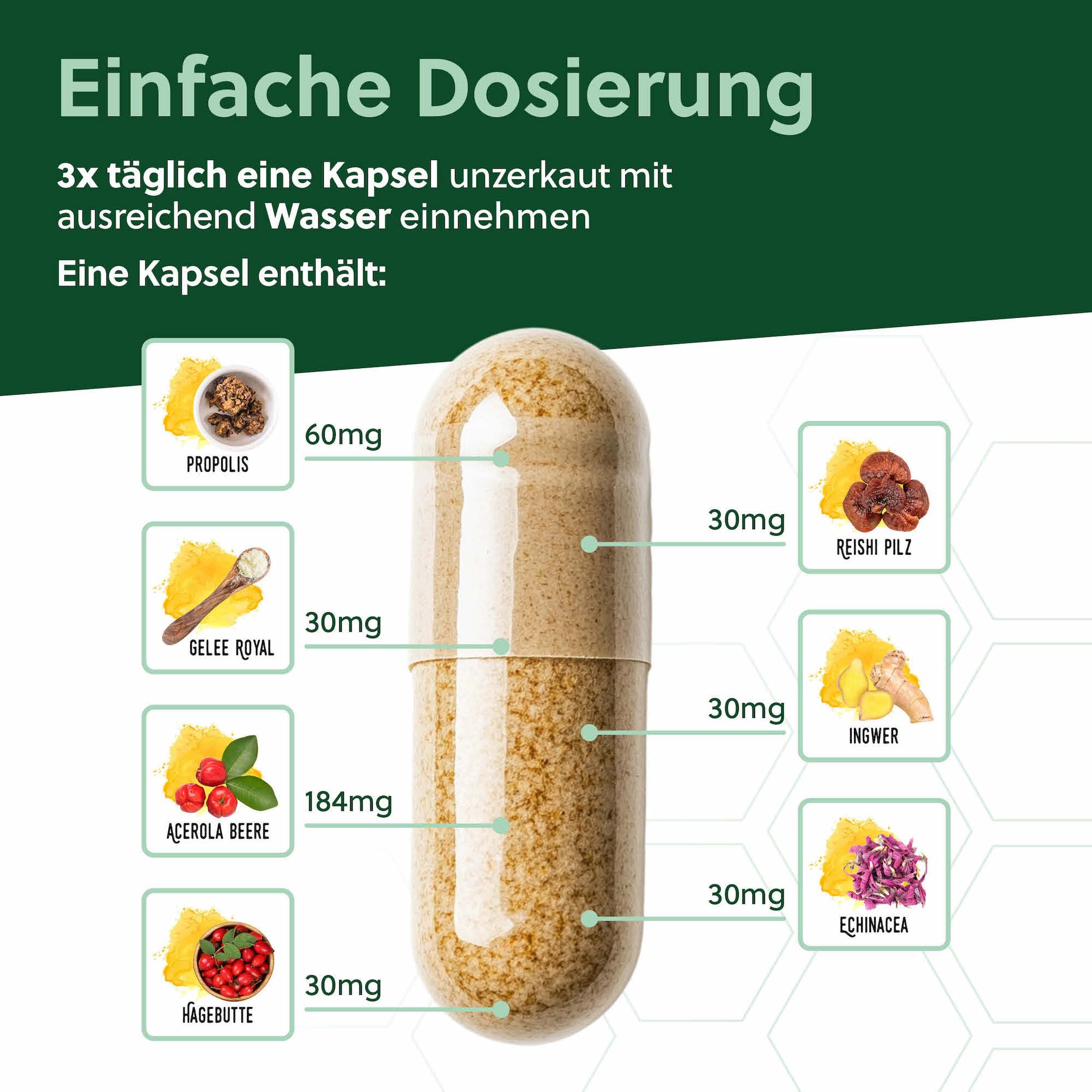beegut BIO bee Immun Komplex – 150 Kapseln mit Propolis, Echinacea, Vitamin C (Acerola), Hagebutte, Reishi & Gelee Royal – mit Vitamin C für dein Immunsystem* & tägliche Ernährung