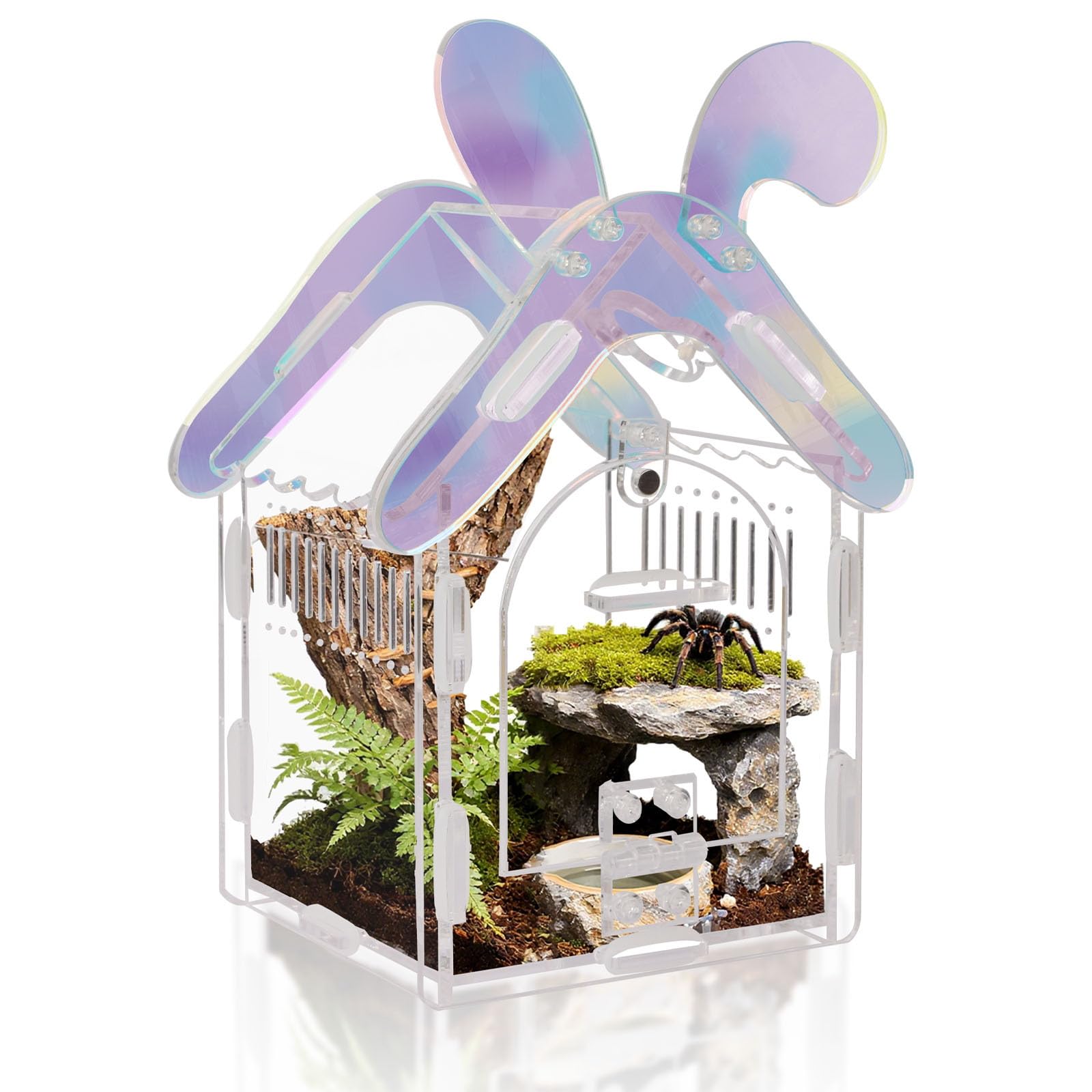 Acrylic Jumping Spider Enclosure with Magnetic Lock, 3mm Clear Terrarium for Tarantula, Mantis, Scorpion | Escape-Proof, No Tool Assembly
