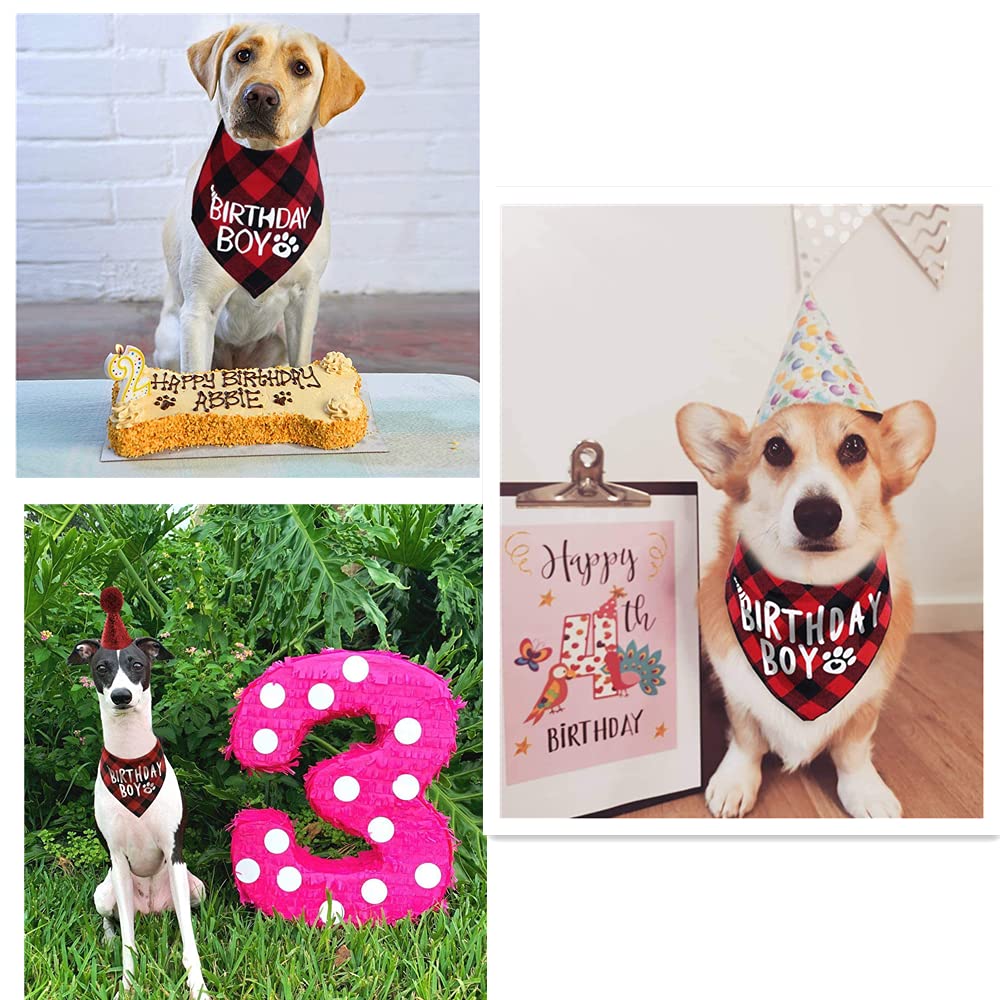 Süßes Hundebandana "Birthday Girl" – Weiches Halstuch Für Geburtstagsfotos & Alltag