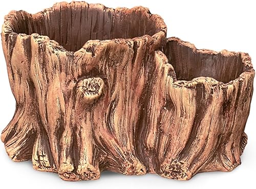 Maceta hecha a mano Dahlia, de concreto, con aspecto de madera de deriva, para plantas, flores, suculentas o bonsáis Maceta hecha a mano Dahlia, de concreto, con aspecto de madera de deriva, para plantas, flores, suculentas o bonsáis