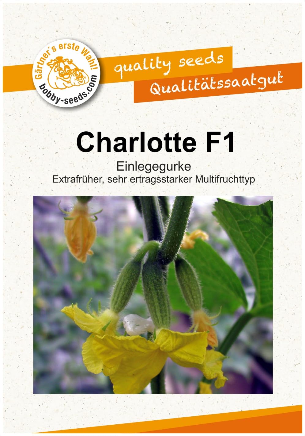 Gurkensamen Charlotte F1 Portion