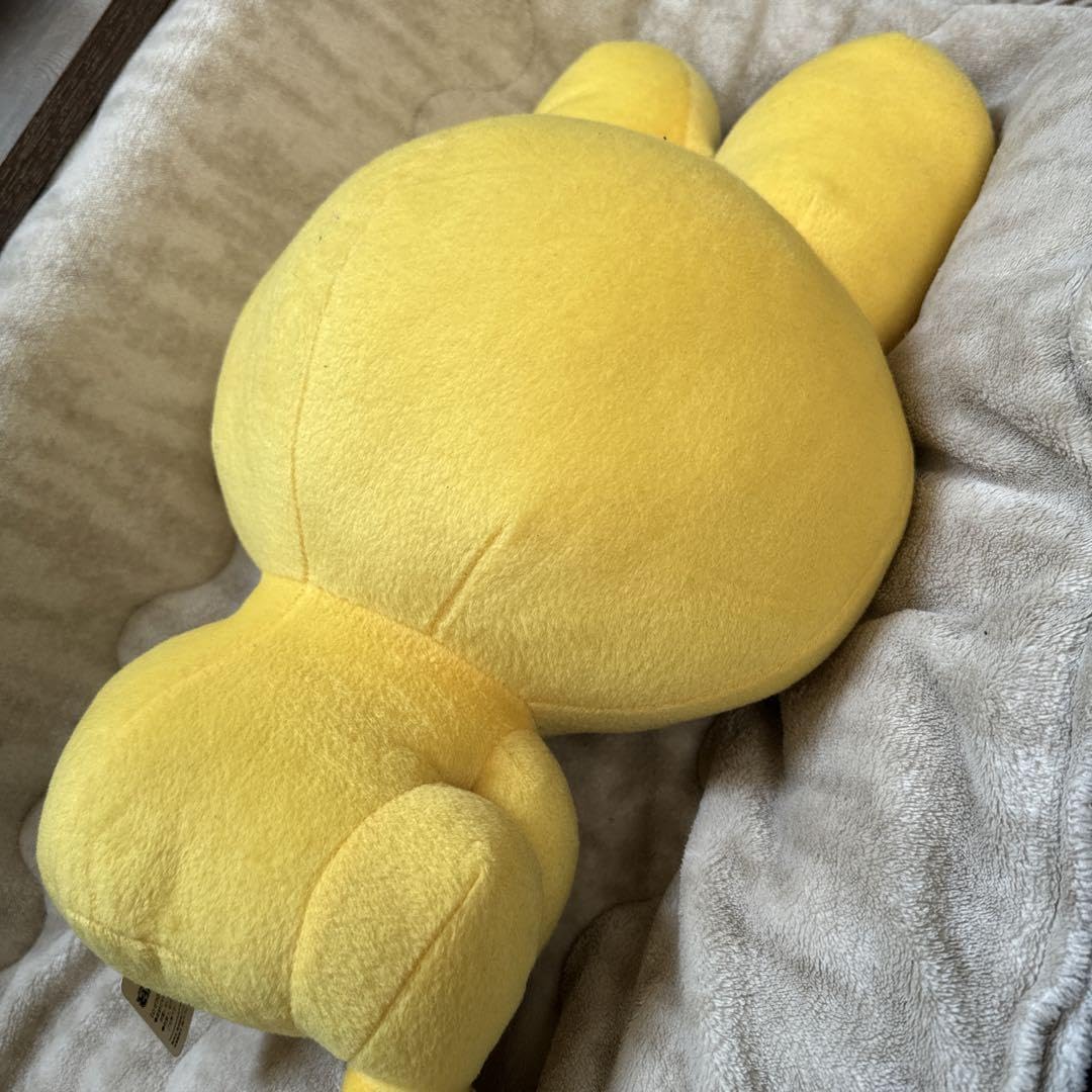 Amazon.co.jp: ピョン吉 BIG ぬいぐるみ ど根性ガエル 全長 約44cm