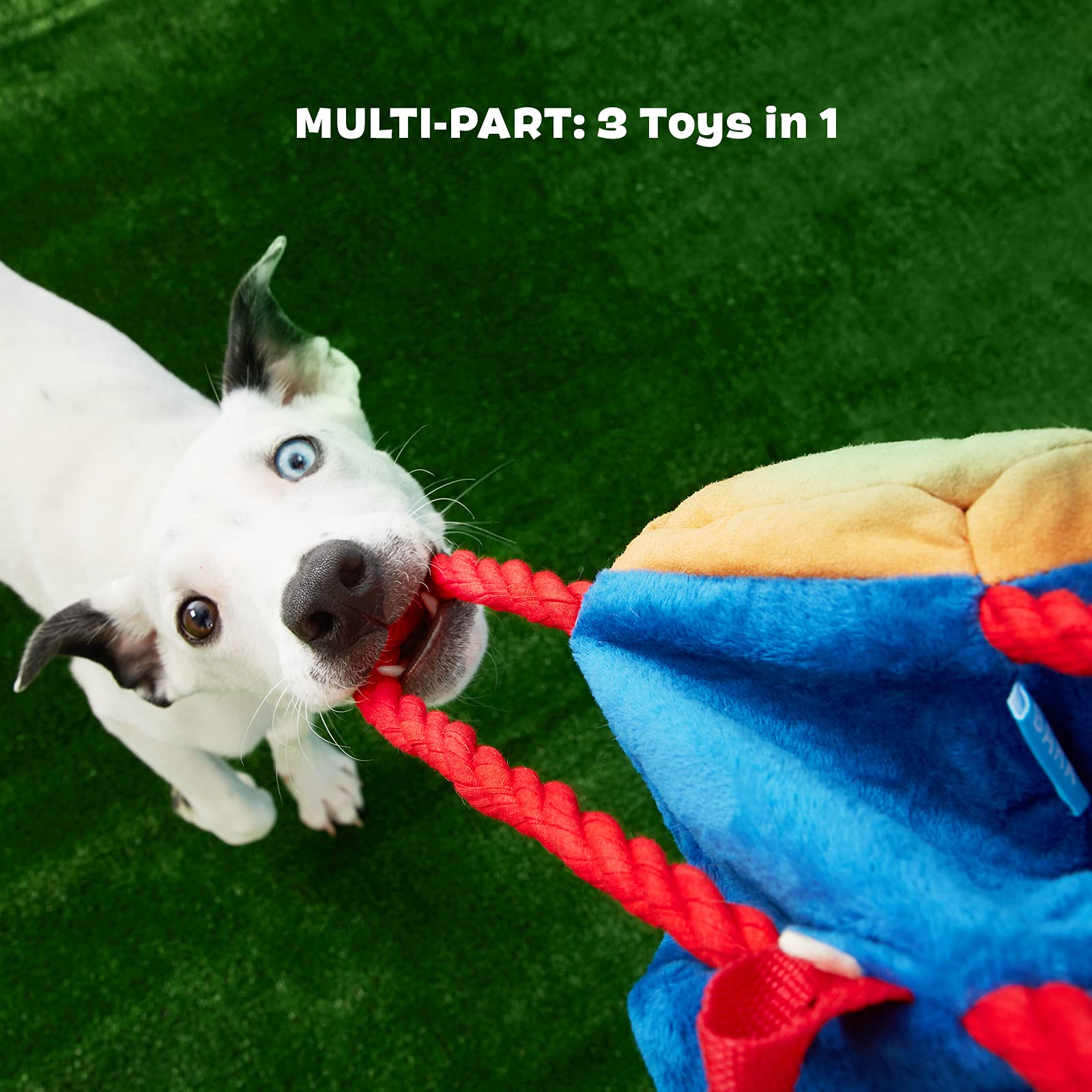 Barkbox Dog Toys Janspup Backpack Squeaker Ball