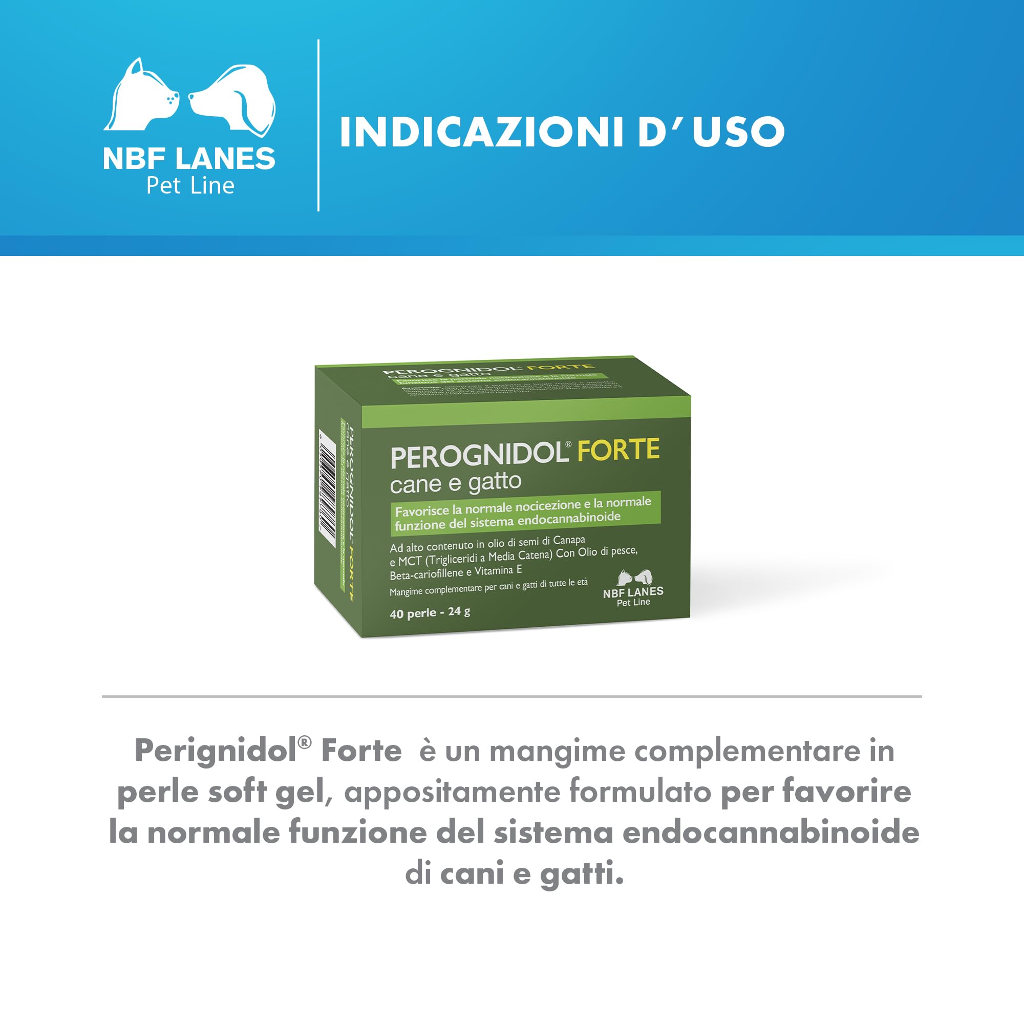 NBF Lanes | Perognidol FORTE Cane e Gatto, 40 perle, Favorisce la Normale Nocicezione e la Normale Funzione del Sistema Endocannabinoide