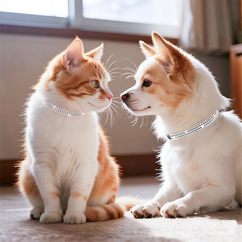 Miniatura 2 de PUPTECK Collar de gato ajustable básico con diamantes brillantes y campanas dobles, para gatito y cachorro pequeño, moda y brillante (XXS collar
