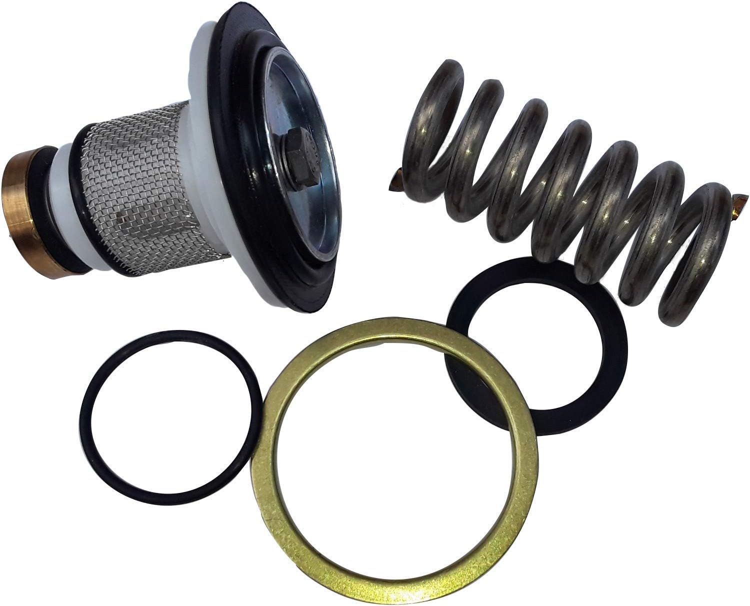 Wilkins Rk114-BR4-1 1/4" Model Br4 Repair Kit for BR4, BR4XL, BR4DU, BR5 Series Regulators