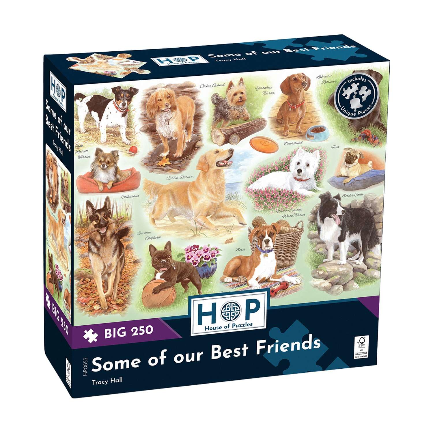 The House of Puzzles Some of our Best Friends BIG 250 Puzzle | Dog Jigsaw with Uniquely Shaped Extra Large Pieces | Animal Themed Jigsaws for Adults with Art Illustrated by Tracy Hall | Puzzling Gifts โ image 1