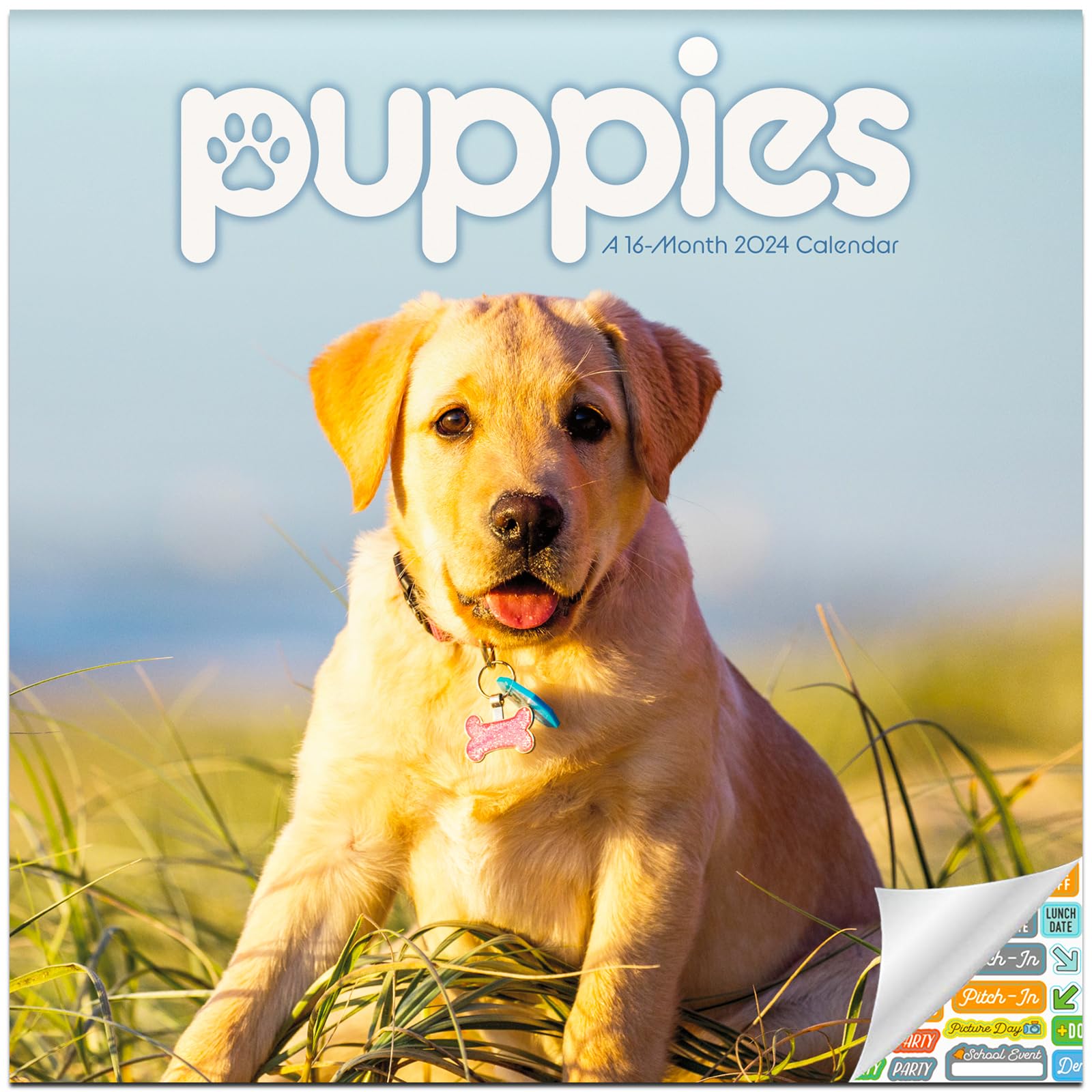 Puppies Calendar 2025 - Deluxe 2025 Puppy Mini Calendar Bundle with Over 100 Calendar Stickers (Dog Lover Gifts, Office Supplies)