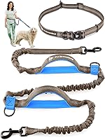 Vista 26 de Exquisita correa manos libres para perros medianos: máxima comodidad y libertad para correr, caminar, senderismo. Cinturón de correa para perro