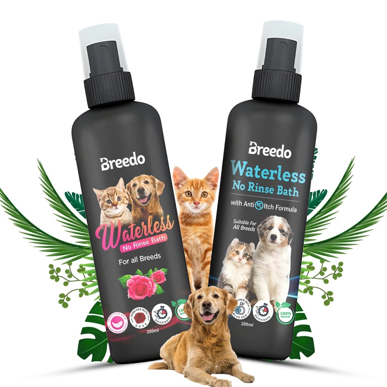 See full amazon price history chart for Breedo Dog Rose and Blue Sea Dry Bath Instant Conditioning Waterless Shampoo Spray for Dogs & Puppy Dry/Waterless Dog Shampoo(400 ml)|Maintains Silky,Shiny and Nourishing Hair(Combo of 2). Breedo Dog Rose and Blue Sea Dry Bath Instant Conditioning Waterless Shampoo Spray for Dogs & Puppy Dry/Waterless Dog Shampoo(400 ml)|Maintains Silky,Shiny and Nourishing Hair(Combo of 2). (B0BP7V75YJ) Amazon Price History, Amazon Price Tracker
