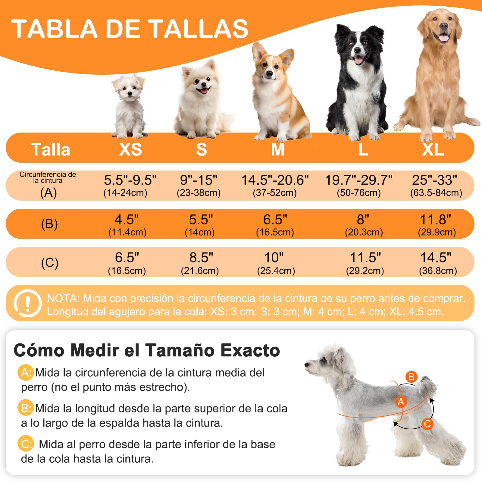 Pañales Perro Hembra Lavables S (3 Piezas), Pañales para Perros Hembra Reutilizables y Altamente Absorbentes, Pañal Perro Hembra con Botones Ajustables