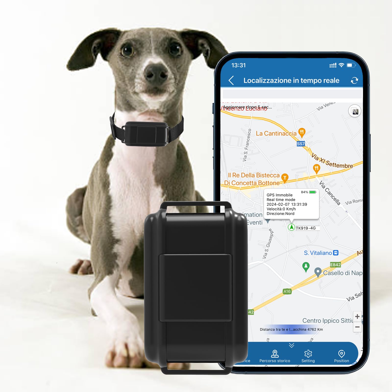 4G GPS Collare per Cani 4G Tracker Cani in Tempo Reale, GPS Satellitare Collare per Gatto e Cani, GPS Collare Impermeabile, Localizzatore GPS Collare con App Gratuita, Collare GPS Senza Abbonamento