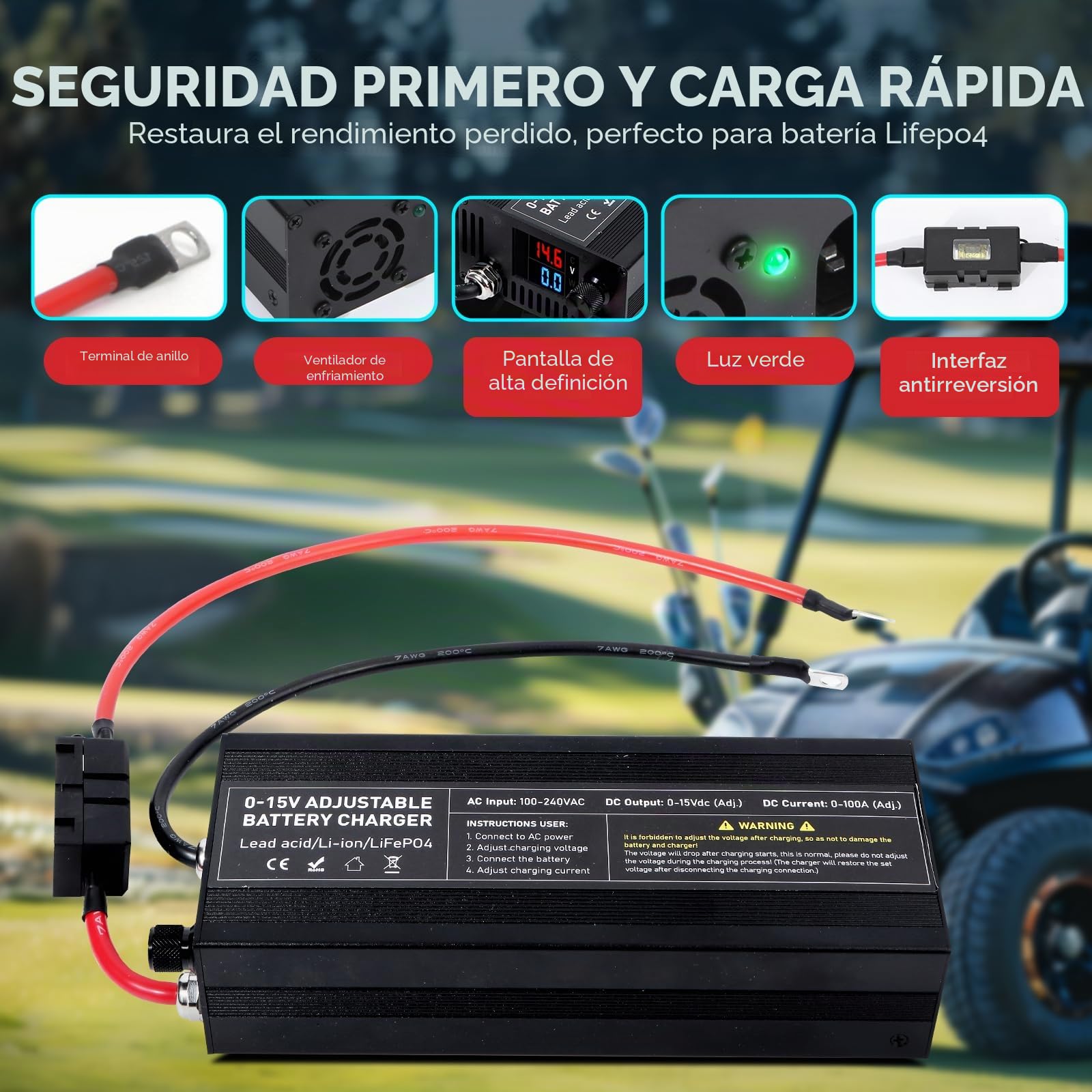 Cargador de Batería LiFePO4 12V/14.6V 60A con Gran Pantalla LED Inteligente, Adecuado como Cargador para baterías de automóvil, Motocicleta, cortacésped, yate y Barco