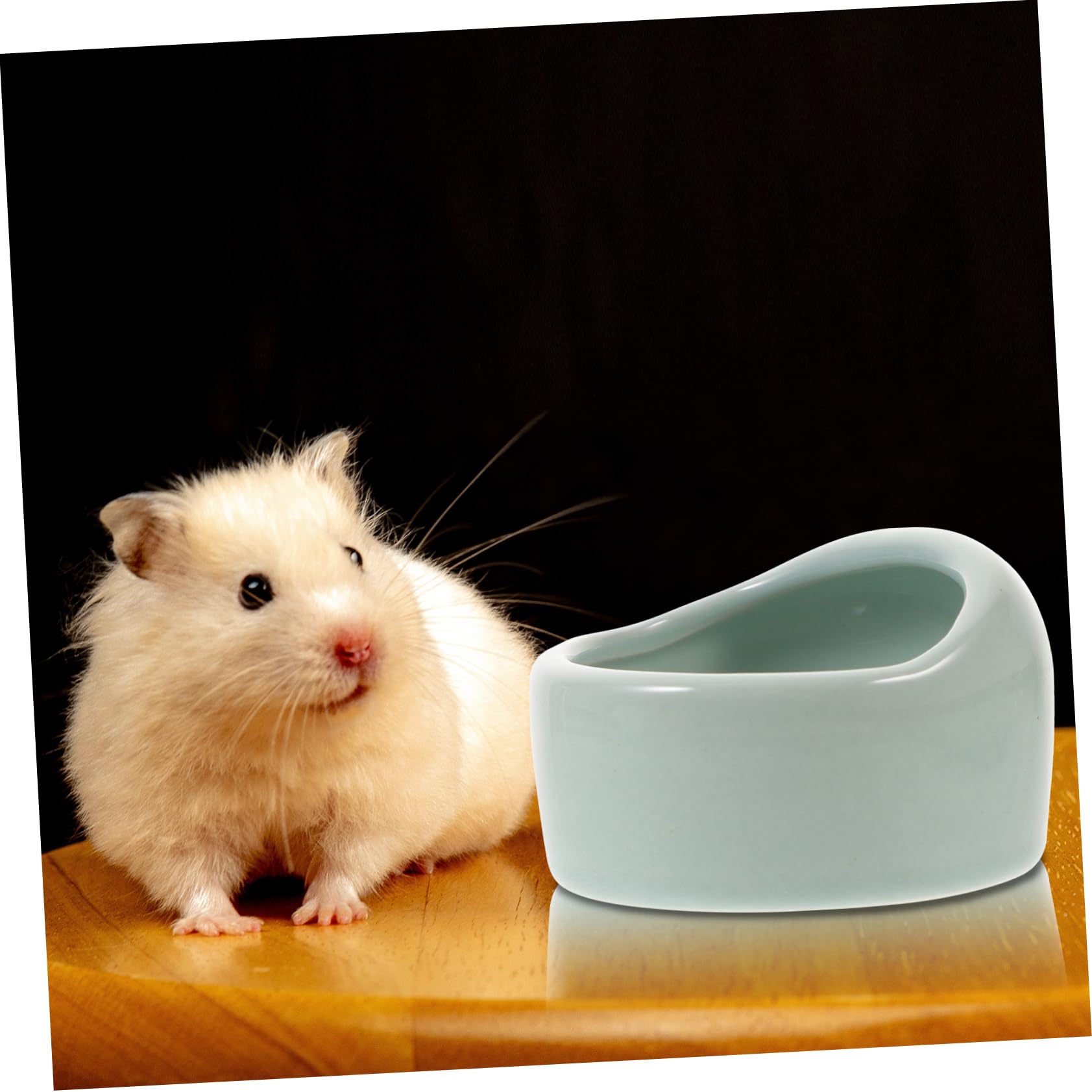 Mangiatoia Per Conigli BREUAILY 4 In 1 - Con Vassoio, Bottiglia E Ciotole, In Legno E Acciaio - Foto 3