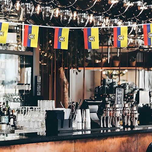 Miniatura 129 de Bandera de Argentina pequeña mini bandera argentina decoración para desfiles, fiestas, aulas, jardines y festivales (Argentina)