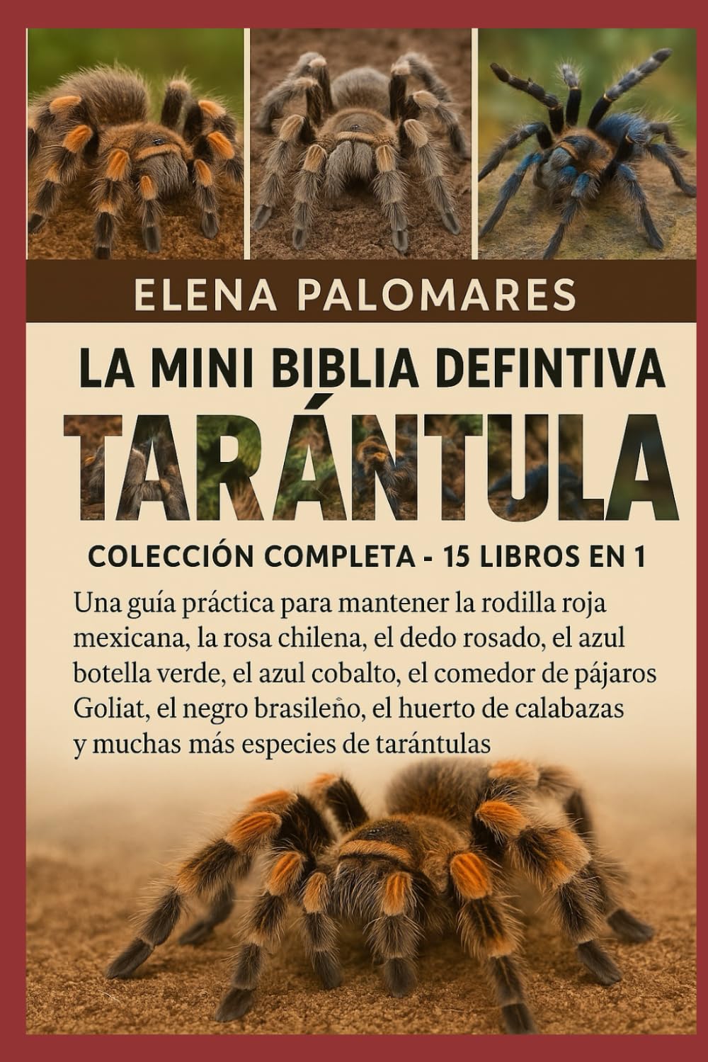 LA MINI BIBLIA DEFINITIVA DE LA TARÁNTULA: COLECCIÓN COMPLETA - 15 LIBROS EN 1: Una guía práctica para mantener la rodilla roja mexicana, la rosa ... de pájaros Goliat... (Spanish Edition)