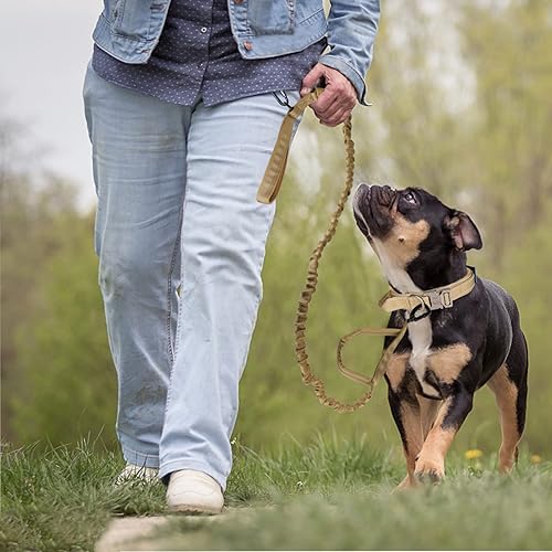 Miniatura 23 de KCUCOP - Collar táctico para perro, collar militar para perro, collares para perro Tactipup, ajustable, hebilla de metal resistente para perros M, L