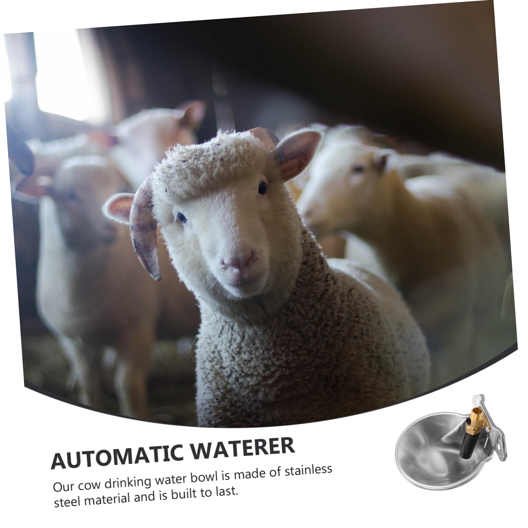 Abreuvoir Automatique Argenté en Bétail Acier Inoxydable | Grand Volume, Bords Arrondis, Usage Ferme et Farmhouse, Alimentation en Eau Continue, Finition sans Rouille