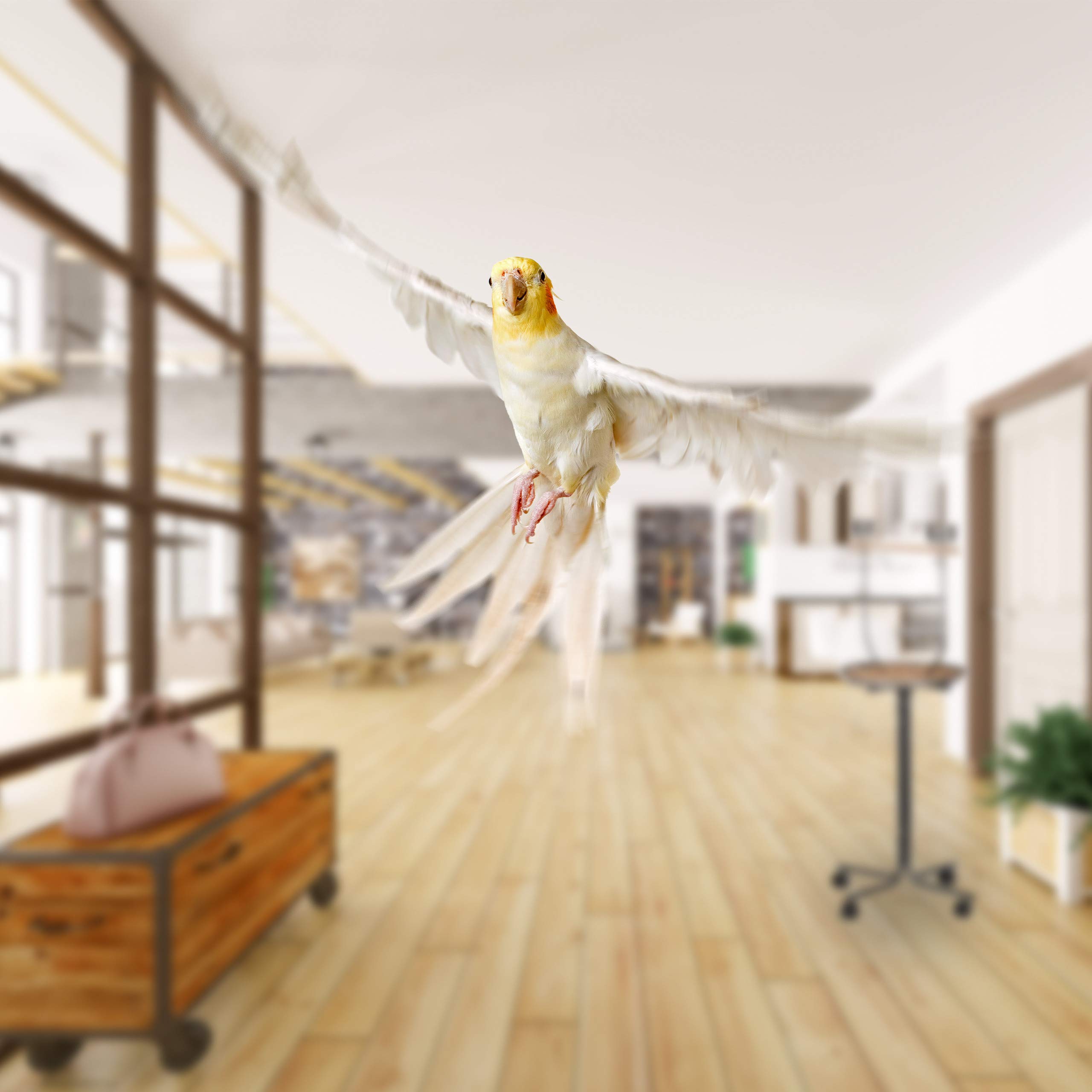 Relaxdays Percha XL para Loros, Barra de Madera, Dos comederos, Portátil, 130 x 60 x 60 cm, Plateado