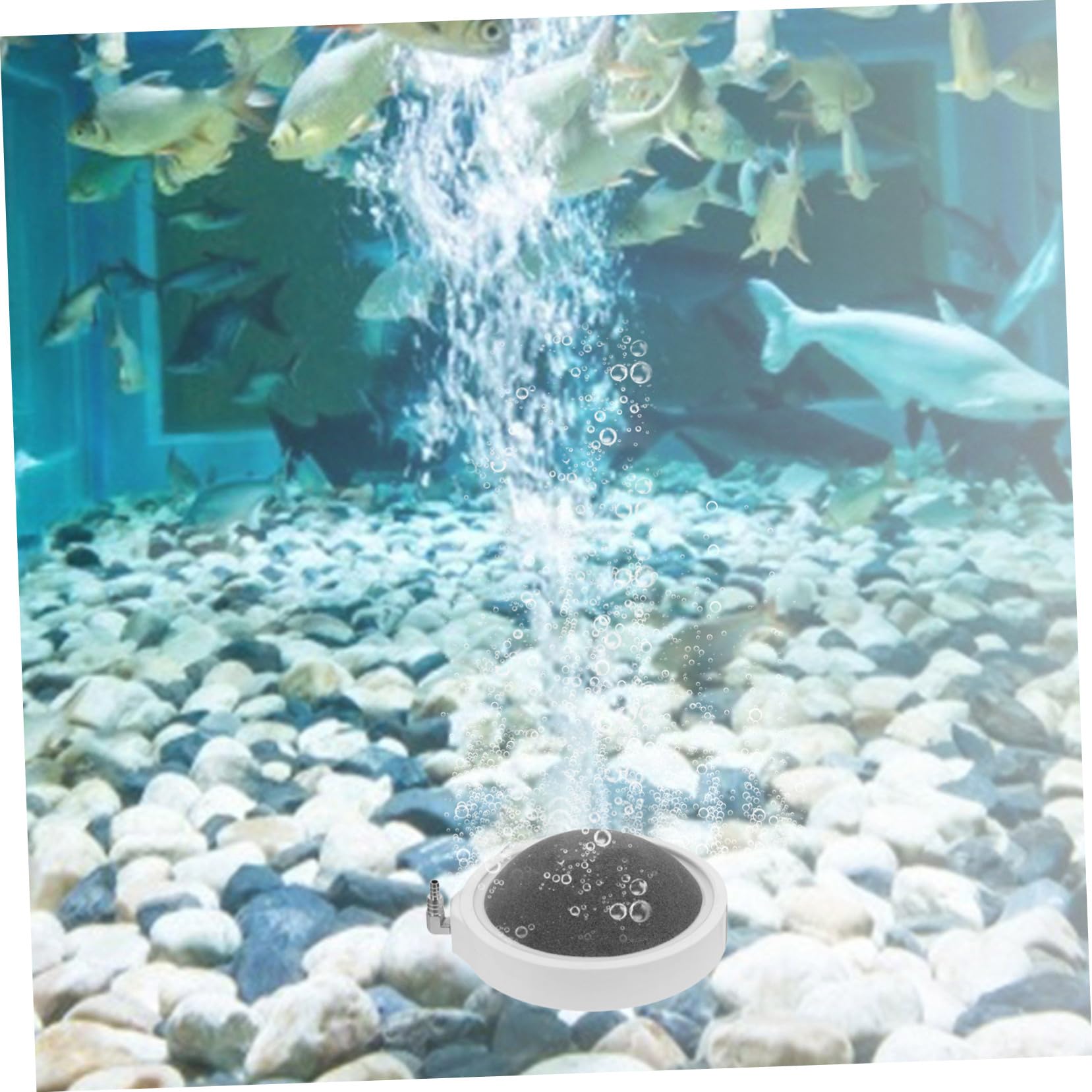 HANABASS 2stücke Austauschbare Luftsteine Für Aquarien Hochtemperatur Gebrannte Blasensteine Zur Sauerstoffanreicherung Für Süß Und Salzwasseraquarien Für Hydroponik Und Fischbecken