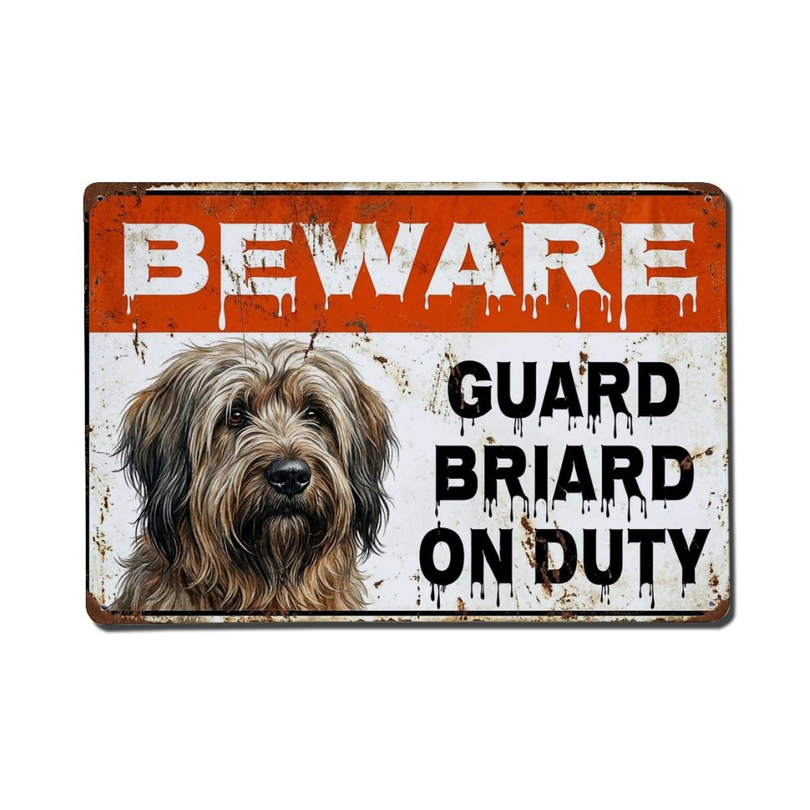 Vintage Funny Briard Guard Beware of Dog Alcove Metal Tin Sign Plaque Wall Decor for Cafe, Club Bar, Office, Garden Metal Poster 8x12Inch