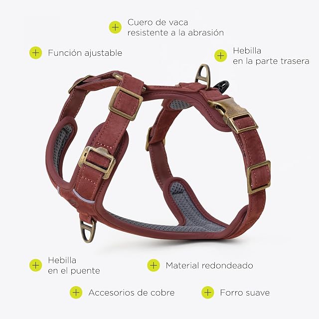 Foto 7 de 8 de Peluvio Lord Arnés de Cuero para Perro con Construcción Guard, Vacuno Natural, para Perros Grandes