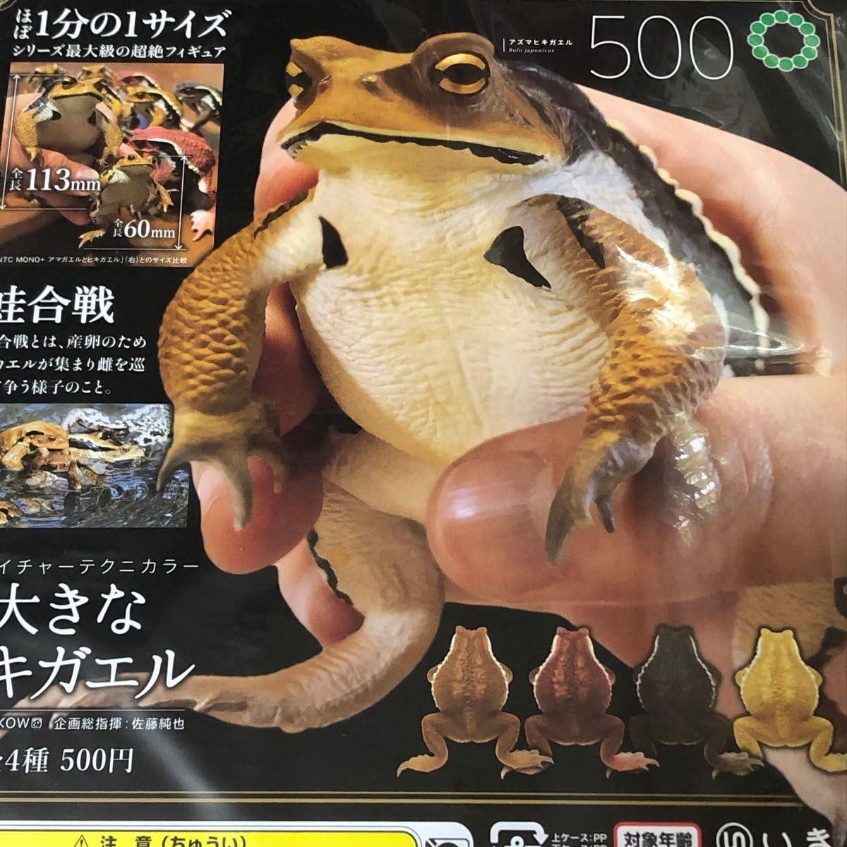 Amazon.co.jp: ネイチャーテクニカラー大きなヒキガエル全4種SET