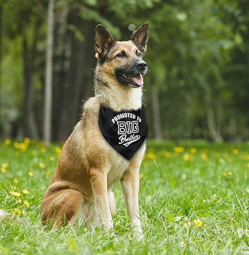 Miniatura 3 de Bandana para perro, promovida a hermano mayor, bufanda para perro, impresión clásica negra, accesorios para bufanda para perro, bufanda para perro,