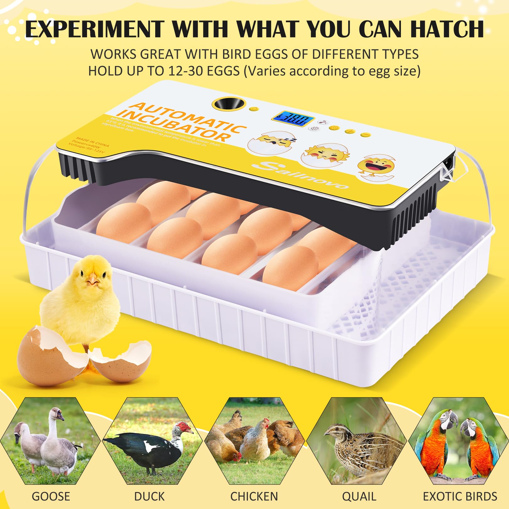 Incubateur Oeuf Automatique 12 Oeufs Couveuse Automatique