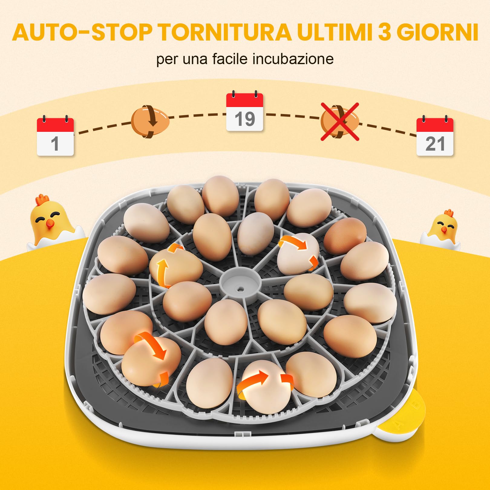 Sailnovo Incubatrice Per 24 Uova Automatica, Incubatrice Uova Gallina, 4 Modalità Incubatrice Con Rotazione Automatica Delle Uova e Controllo Della Temperatura ℉ Per Pollo e Quaglia (Grigio)