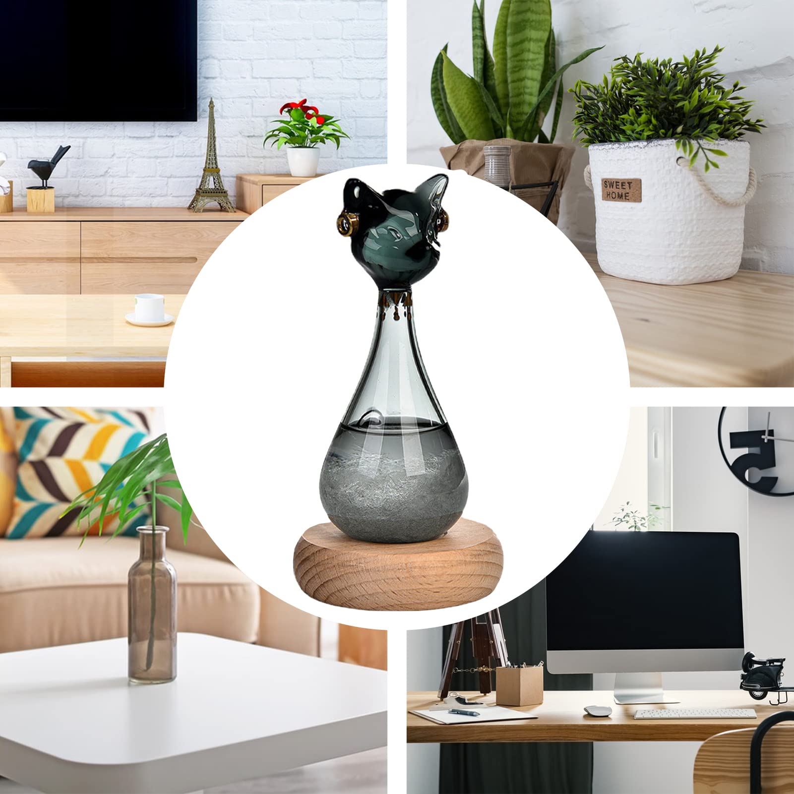 Stazione meteo tempesta, bottiglia previsioni meteo a forma di gatto, meteo barometro in vetro con base in legno, vetro tempesta, regalo originale per compleanni da donna (gatto nero)