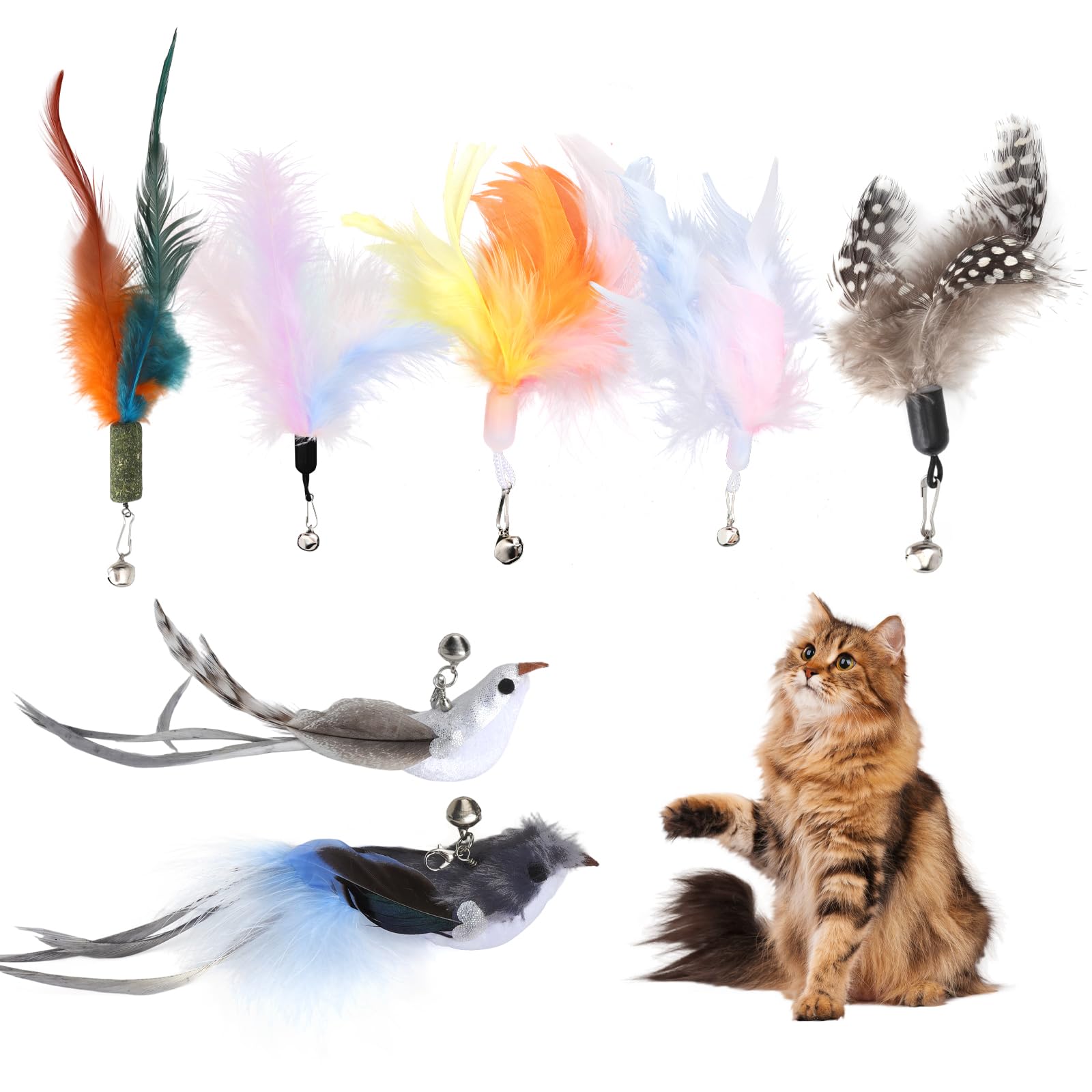 LOLANIUT Katzenangel Ersatzfedern Set 7 Stück für Katzen, Spielzeug Feder Anhänger Ersatzköpfe, Bunte Vogel und Federaufsätze für Hauskatzen und Kitten, Interaktives Spiel