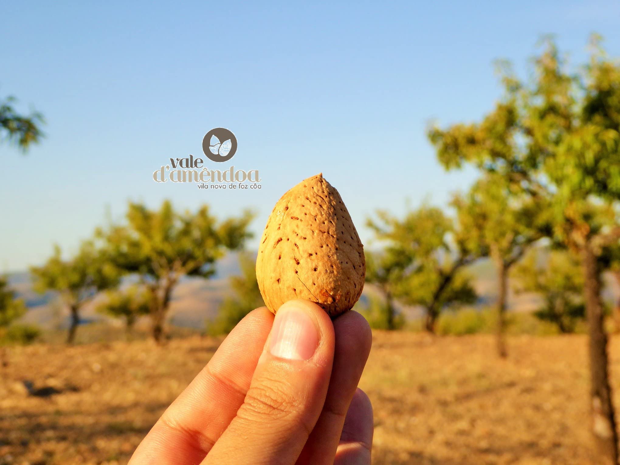 Almendra Con Piel de Portugal 4kg | Sin Gluten | Ideal para Dieta Vegana, Vegetariana, Keto, Paleo y Macrobiotica | Perfecta para Transformar en Harina, Crema y Bebida de Almendras, de Vale D'Amendoa